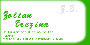 zoltan brezina business card